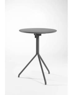 alt= Mesa Lol Plus 2