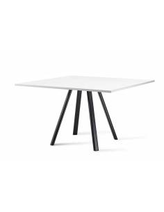 alt= Mesa Surfy Hub 2027 Square
