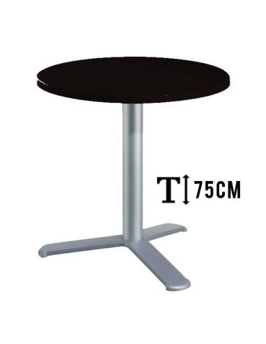 alt= Mesa TKITT.BG3L